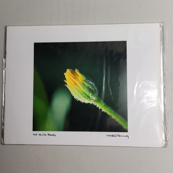 Korbin Berg Mount Horeb, WI Fine Art Photographer/Nature Print 8.5x11" - Picture 2 of 6